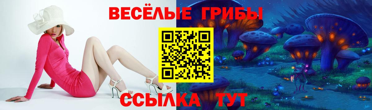 Галлюциногенные грибы MAGIC MUSHROOMS  Псилоцибиновые грибы мухоморы  Вход с VPN  Старая Купавна 