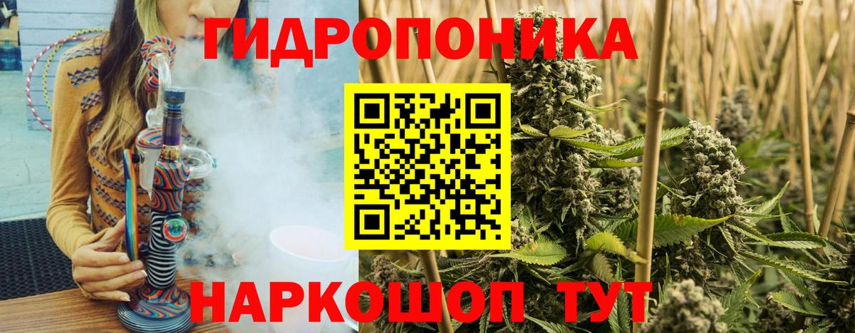 Канабис сатива  Вход с VPN  Конопля конопля  Старая Купавна 